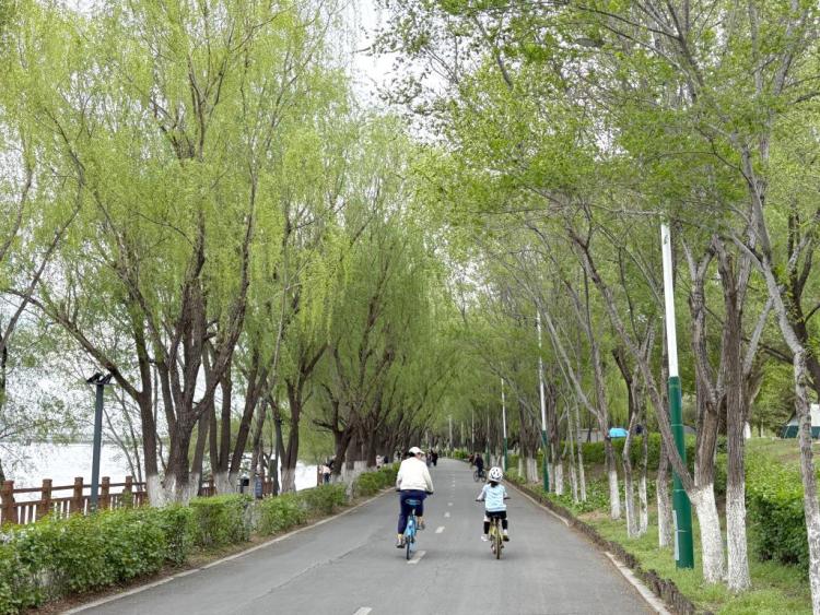 沉浸体验AI上岗治愈经济——这个“五一”文旅消费吹新风