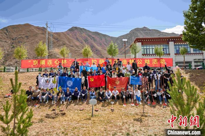 高原植树季西藏北京商会栽种“京藏友谊林”