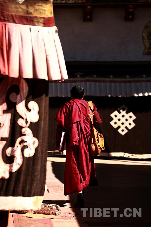 出家不忘爱国修行不忘济世西藏僧侣充分享有宗教信仰自由