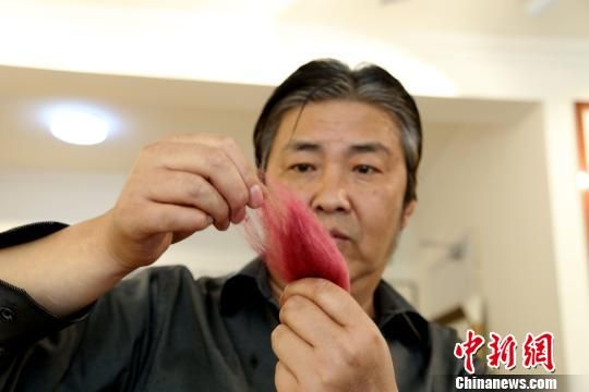 图为朱军整理绒毛。　马铭言　摄