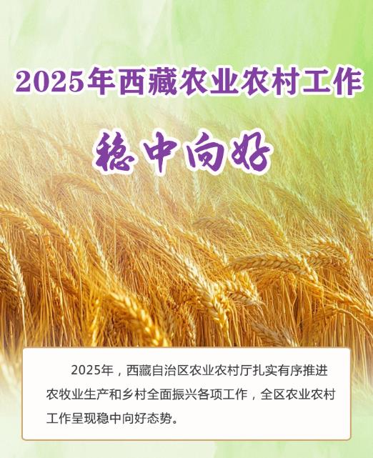 稳中向好32.jpg