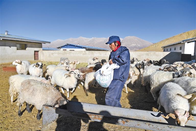 西藏农牧区 幸福日子有奔头_扶贫_手机中国西藏网