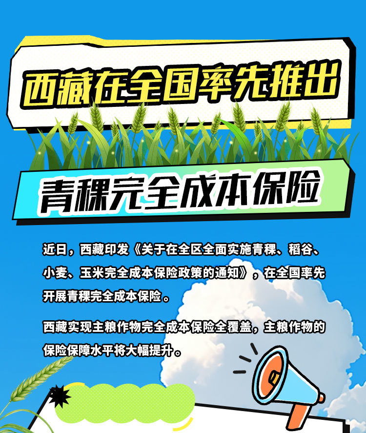 U020250610599096885172.jpg