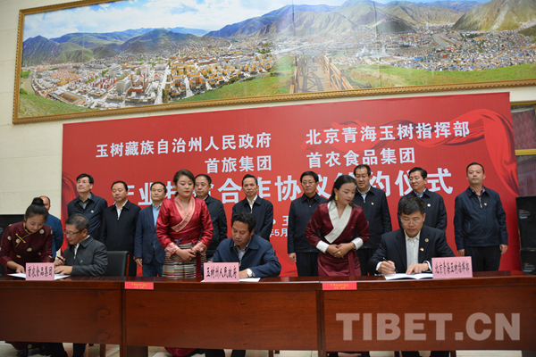 玉树地震_2016玉树旅游收入(3)