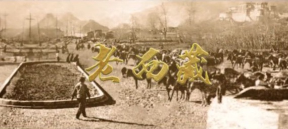 无标题.jpg