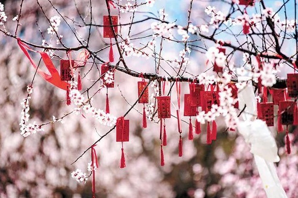 无标题.jpg