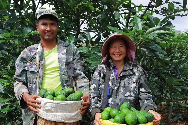 (两会记者手记)从一位人大代表带上两会的背包中 我触摸到中国民主的温度_fororder_97f4ae8084924d95a56fedf0c51bf898