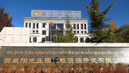 青稞“蜕变”，牦牛“出圈”！看西藏农牧民的“十四五”丰收答卷