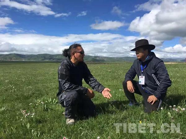 90后藏族女孩俄木初,大学毕业后,回到家乡阿坝州黑水县芦花镇热拉村