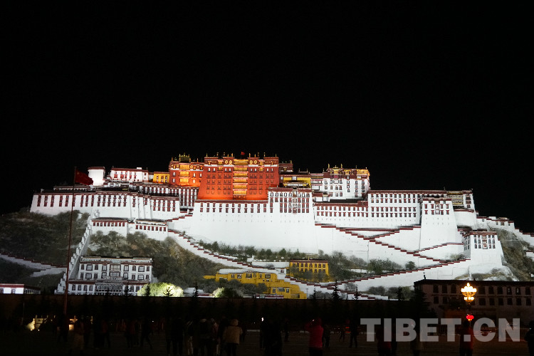 图为布达拉宫正面夜景