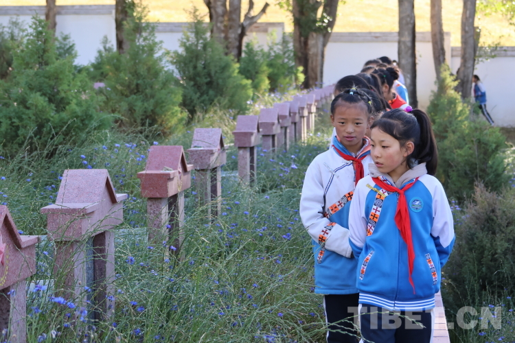 图为学生瞻仰烈士墓.JPG