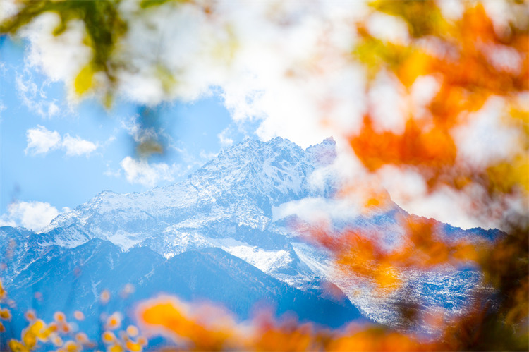 彩林远处的冰山。黑水县文广旅局供图