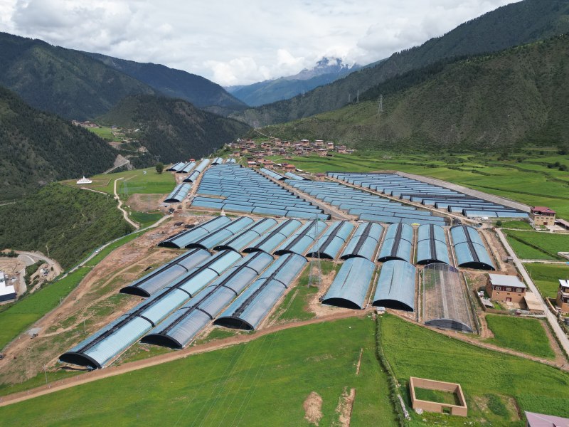 数字化农业基地。申宏摄