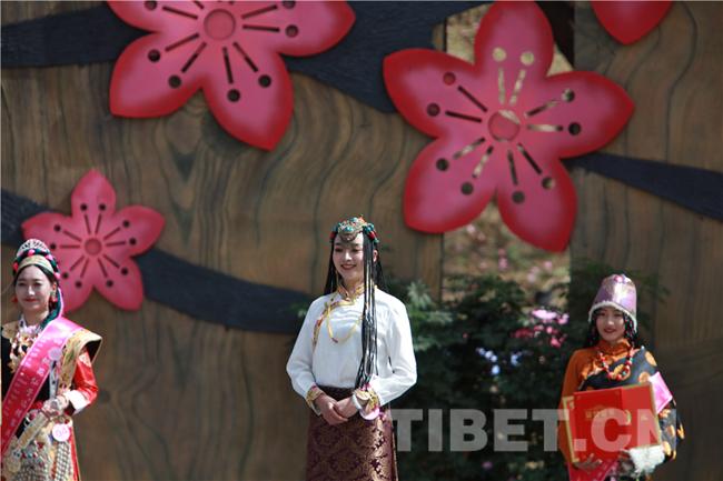 旅游 林芝桃花节开幕式上还开展了林芝市旅游形象大使暨第四届"桃花