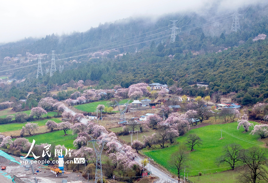 西藏波密：桃花沟里美如画【6】