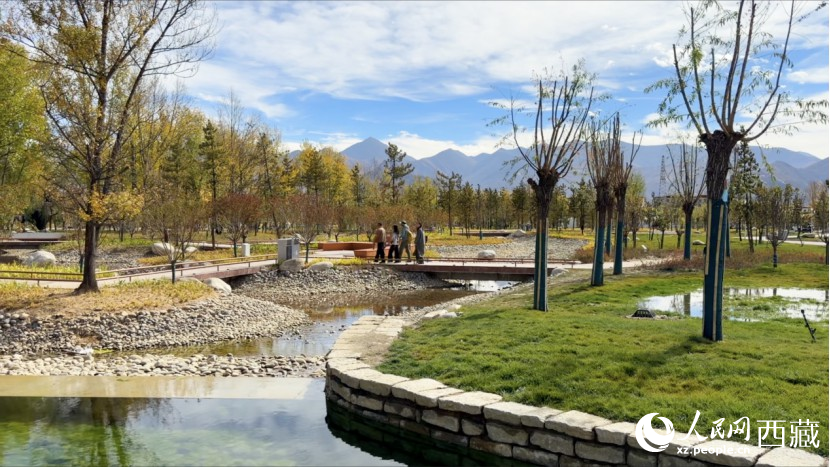 图为青年林卡公园。人民网记者 次仁罗布摄