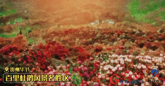 360截图20240404140808324.jpg