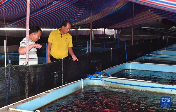 有声手账丨【我是一线党代表 】王书茂:保护好“祖宗海”是这辈子最大的心愿