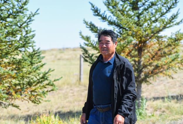 有声手账丨【我是一线党代表 】廷·巴特尔:“四点平衡”建设美丽富饶新牧区