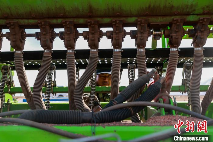 79dc8834-3f18-4a63-a7bc-1dc2403fd660_zsite