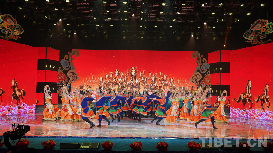 W020260119559069631156