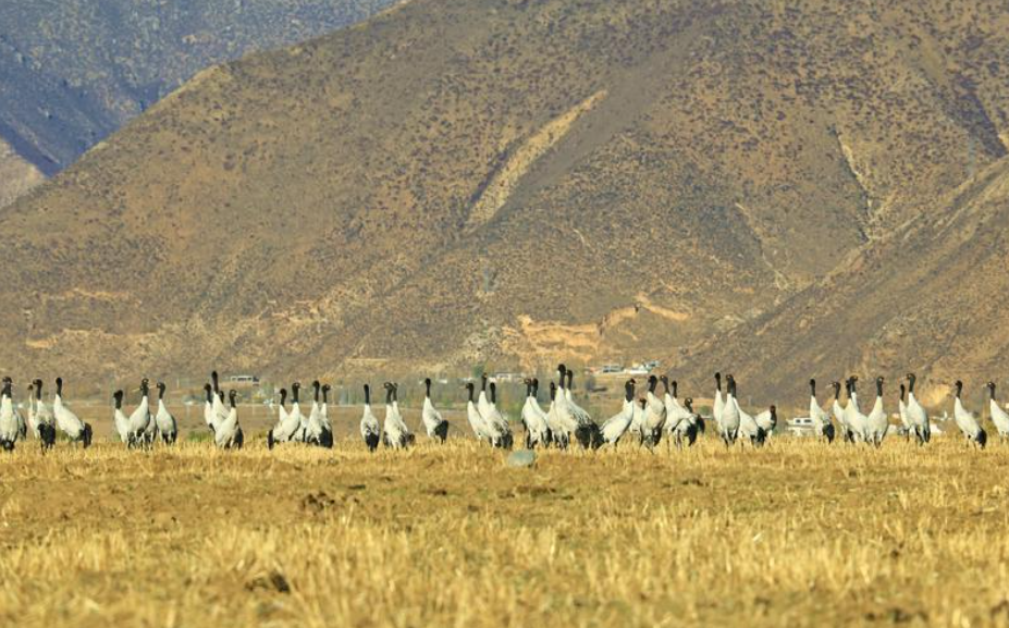 ScreenShot_2025-11-12_152808_445