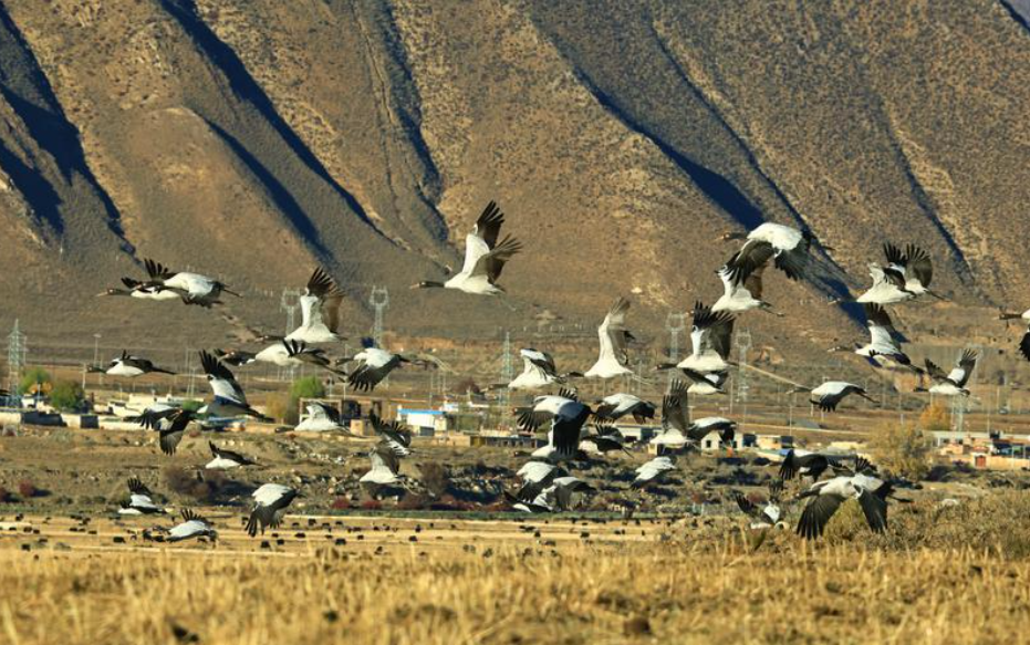 ScreenShot_2025-11-12_152737_846