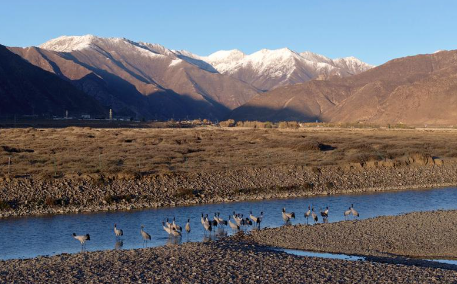 ScreenShot_2025-11-12_152814_328