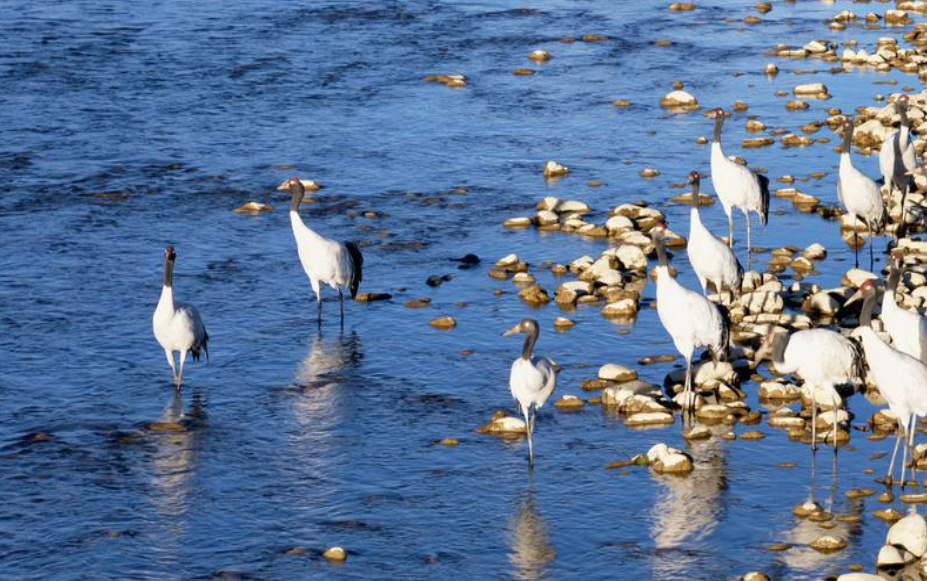 ScreenShot_2025-11-12_152802_513