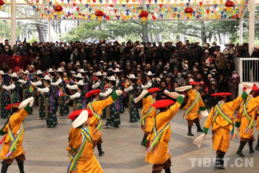 W020260328770179393961