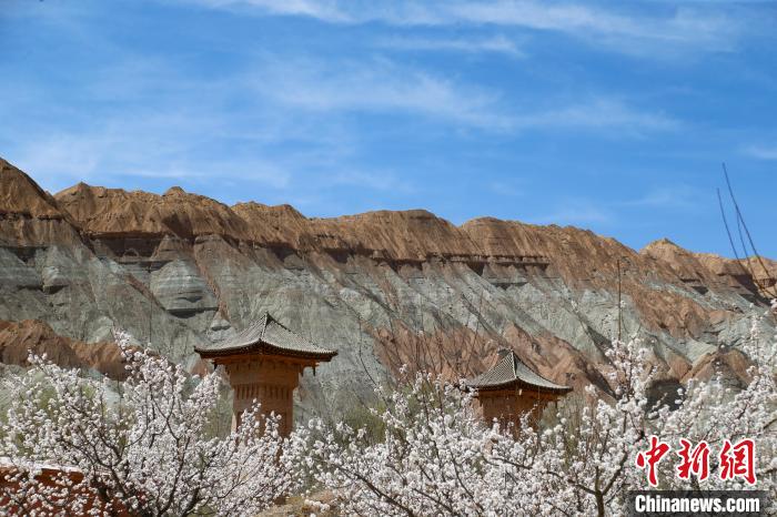 W020250416331310148205