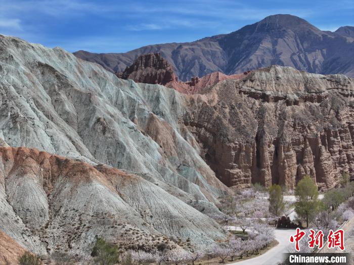 W020250416331310291199