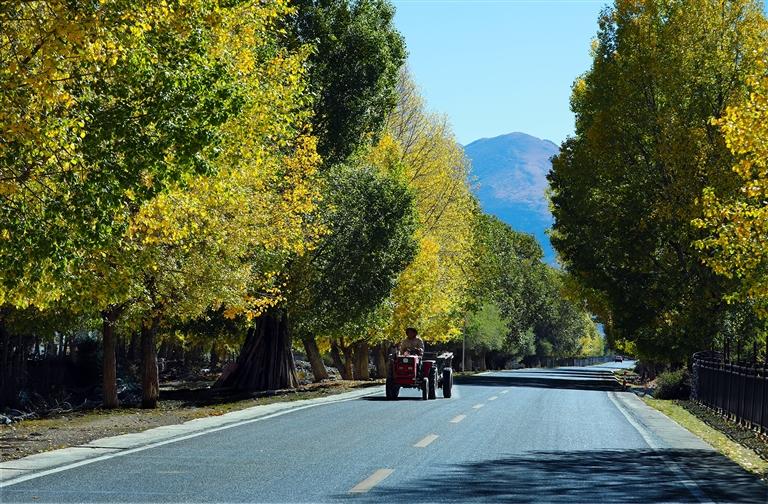 W020251031393422358873