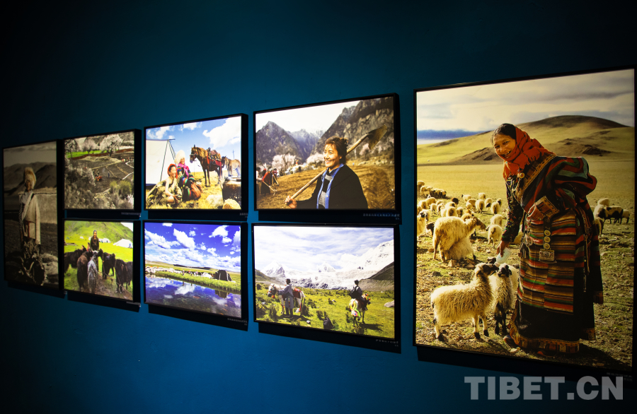 W020251109562591228343