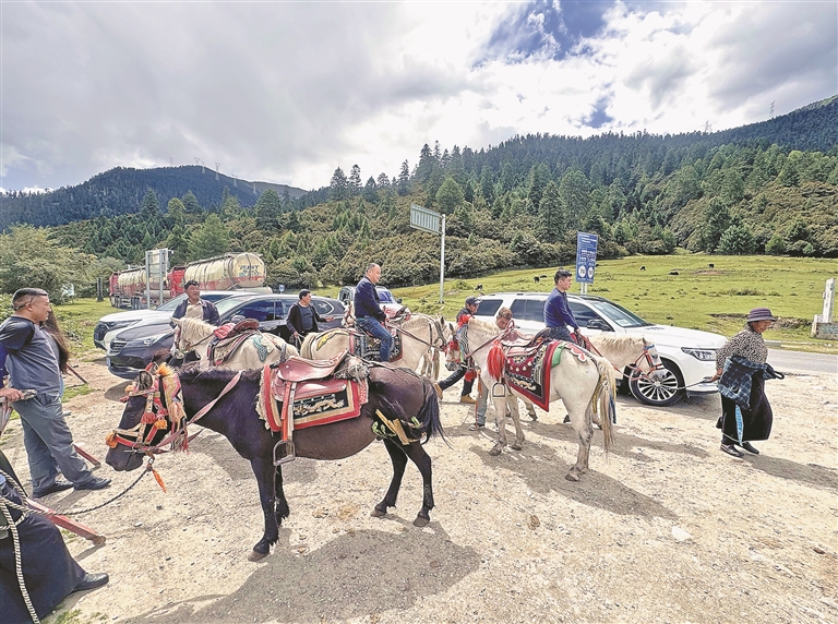 6723392_b38bb727-1d03-42f9-ac4f-9f692b1160bd