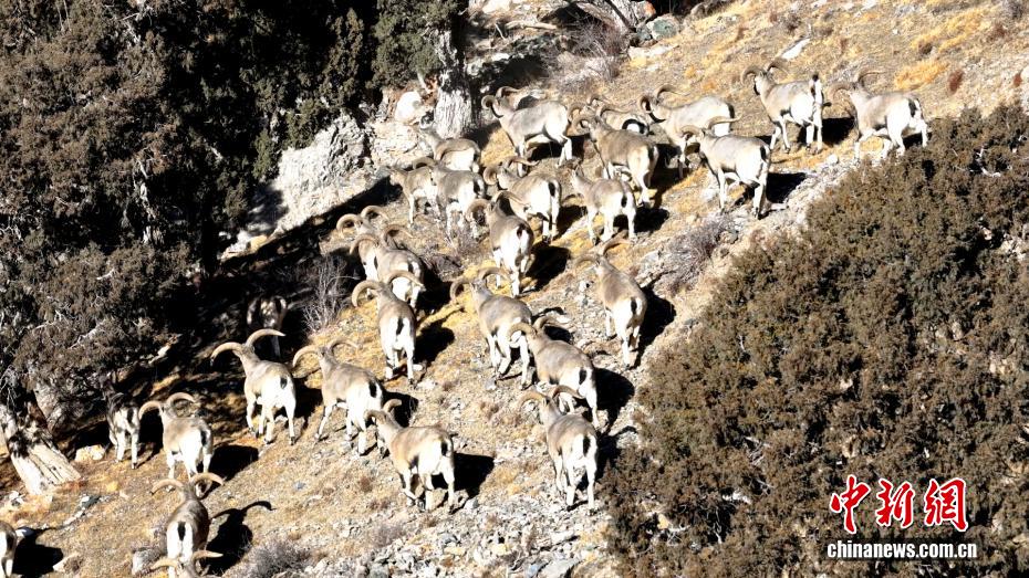 wc930x592_281b8252ce714922856ffb5b3a6b84a6