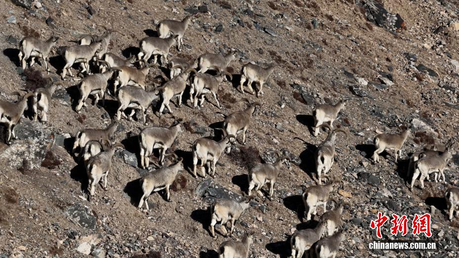 wc930x592_a944025513594ce49193111bb60b0122