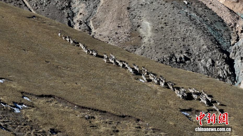 wc930x592_9a3432b6279a49cdaf88aad21a71c449