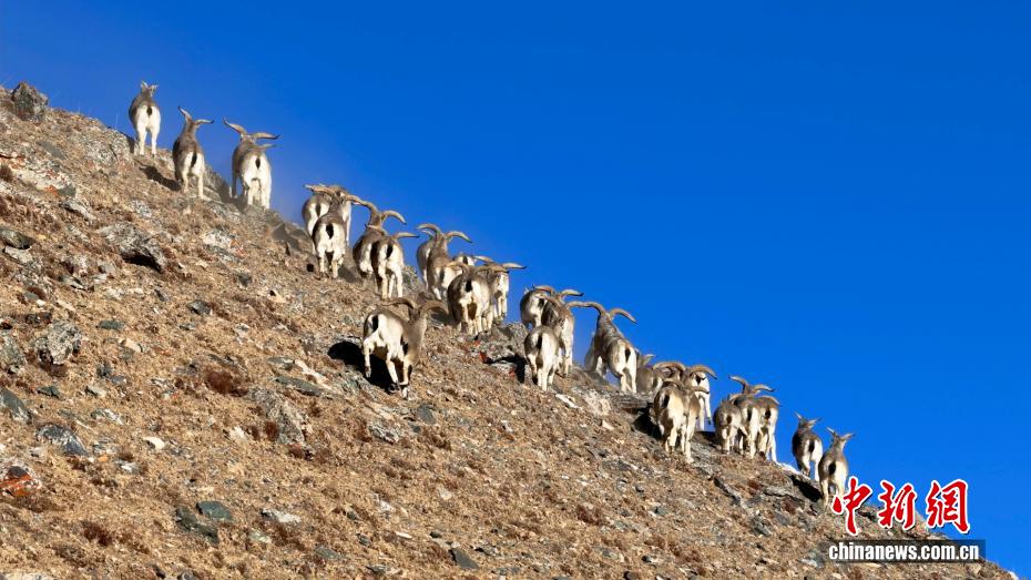 wc930x592_f8f5014ba6324dbd86fa079c5d2c2702