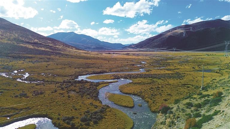 W020251031393422202136