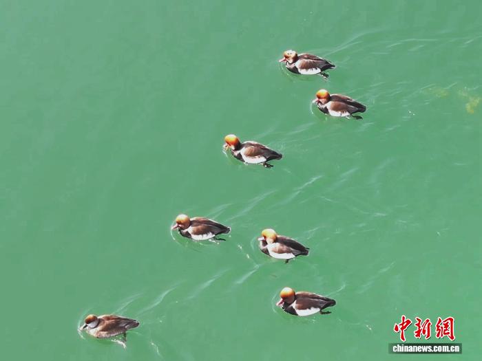 46ca2d37-13d1-441e-b793-1eca65584635_zsite