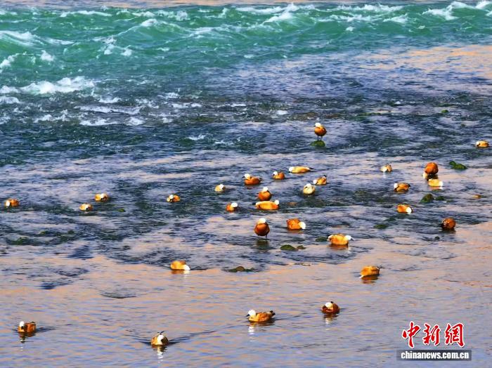 42b22bd9-1a06-45f8-8445-de90a3ab68d7_zsite