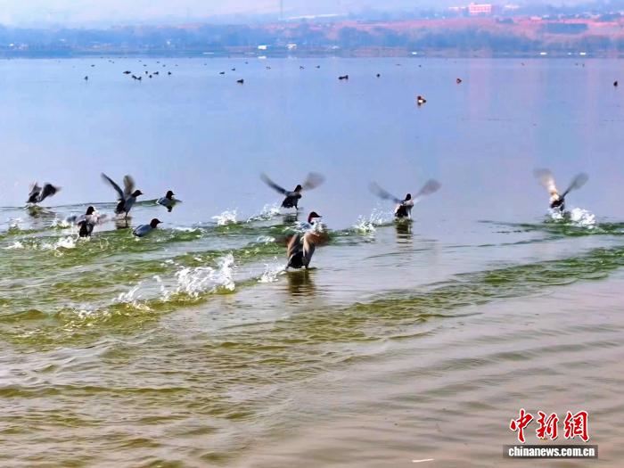 5645b4fb-15ef-4714-a2d9-23e97f656469_zsite