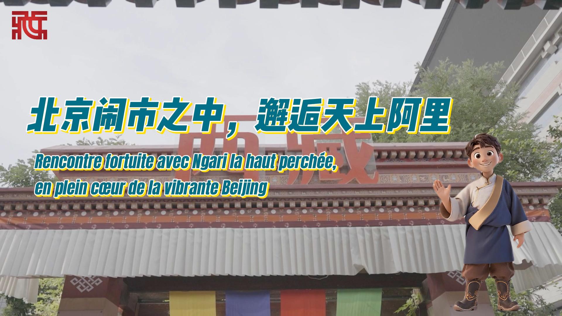 阿里修改-封面.jpg