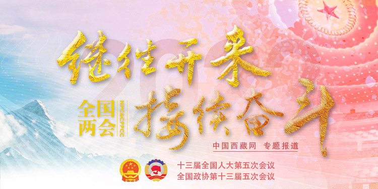 两会专题