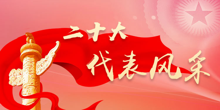 二十大代表风采