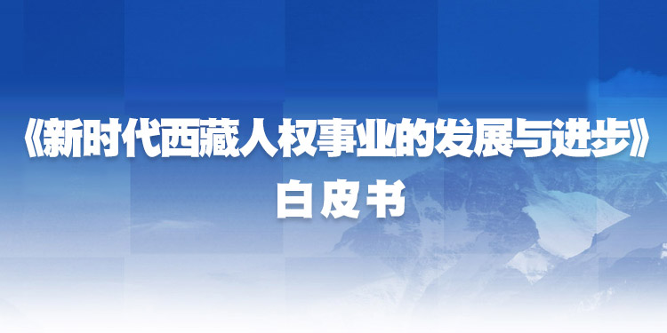 白皮书