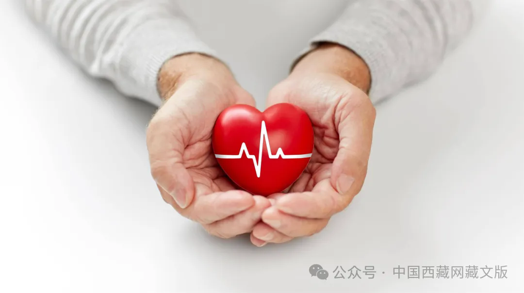 微信图片_20250515150056.png
